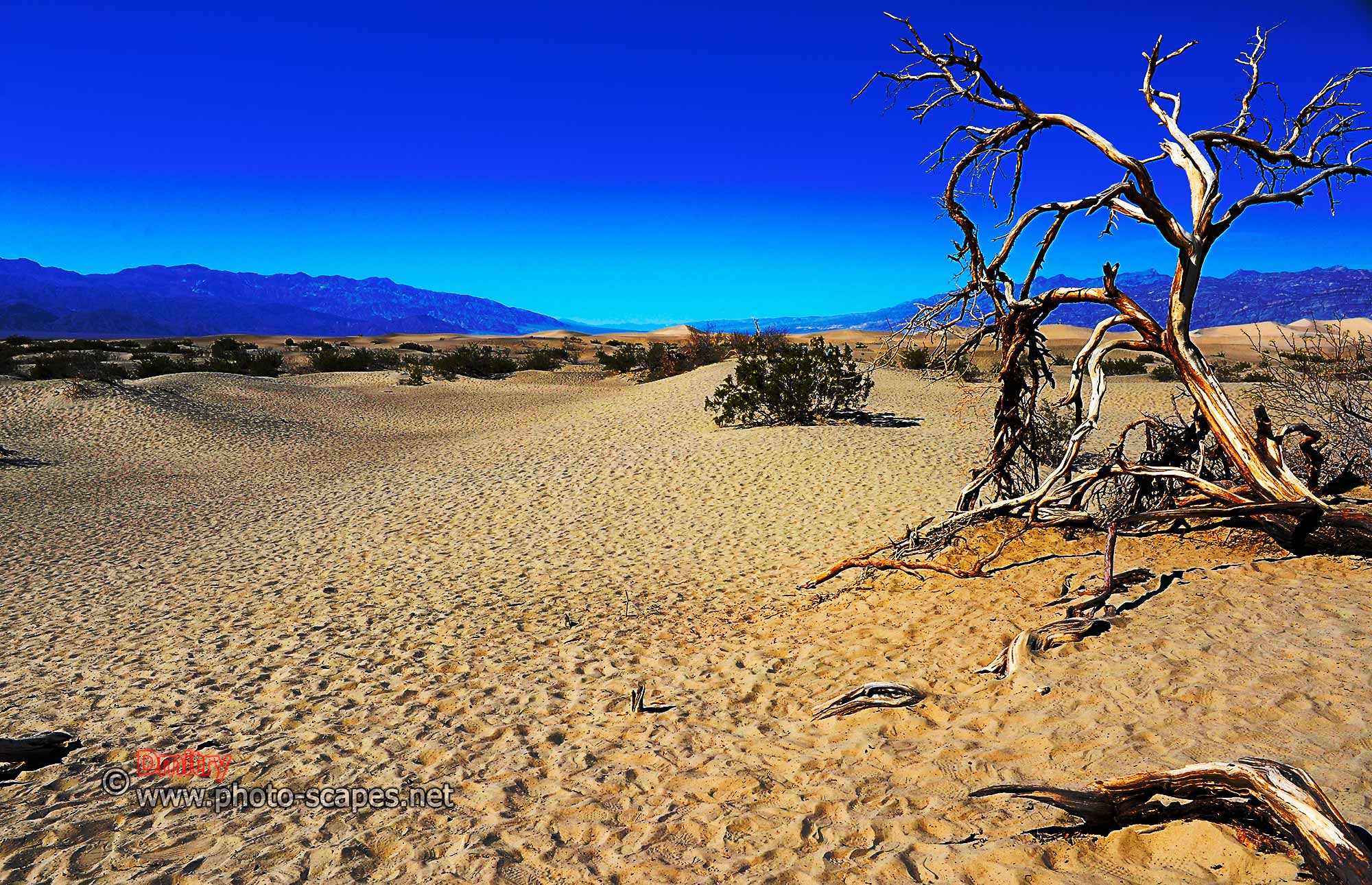 Песчаные дюны Долины Смерти, США