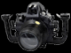 Nikon D700: подводная съемка